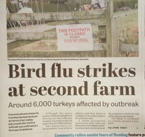 Bird Flu in Lincolnshire: Second outbreak