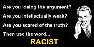 How to handle insults: Use the word racist if you are scared of the truth and you are losing an argument
